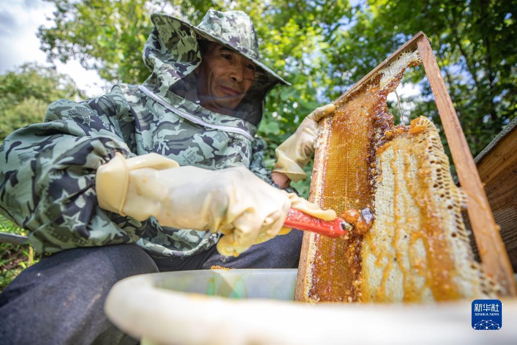 澳门见过的长赢赌客